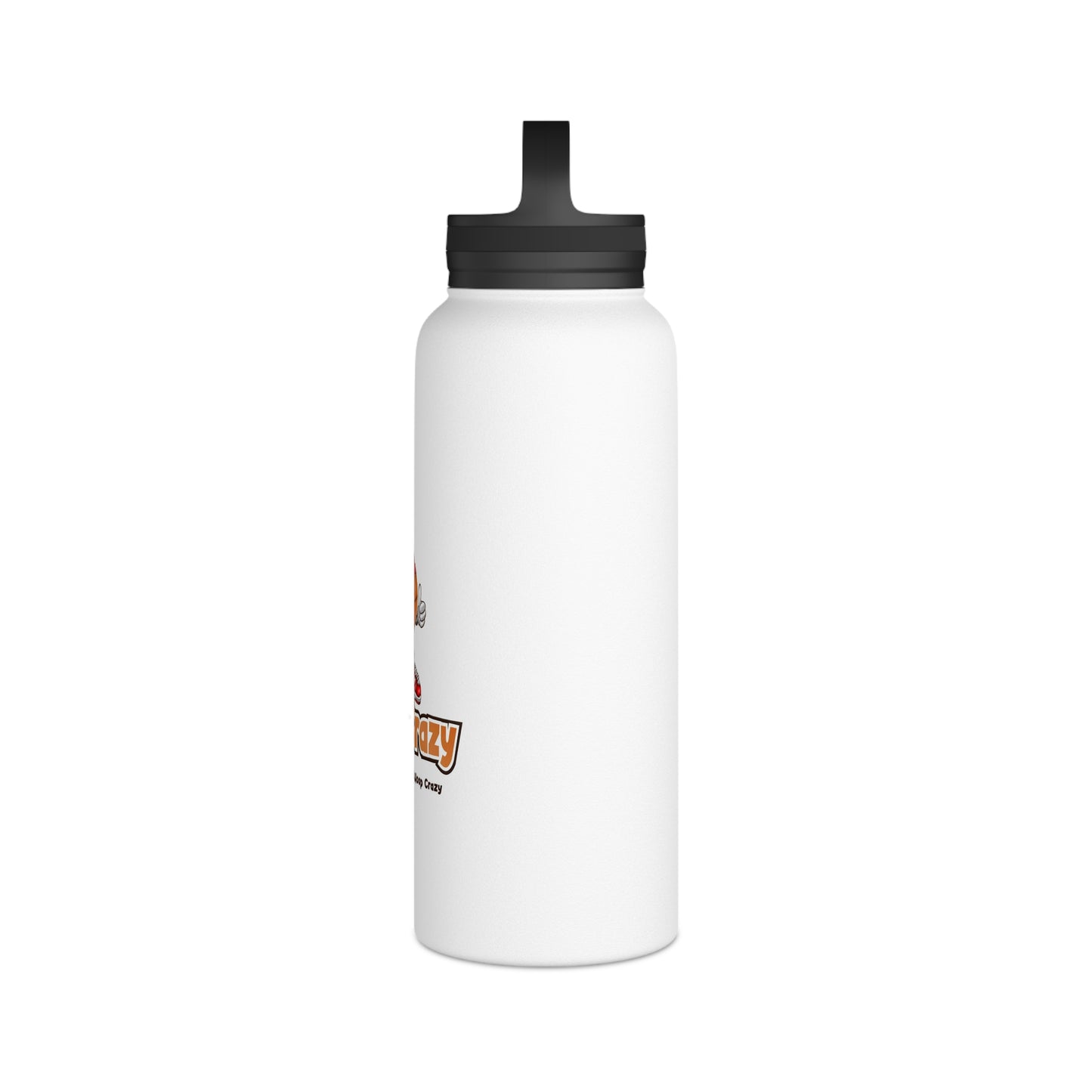 Stainless Steel Water Bottle, Handle Lid