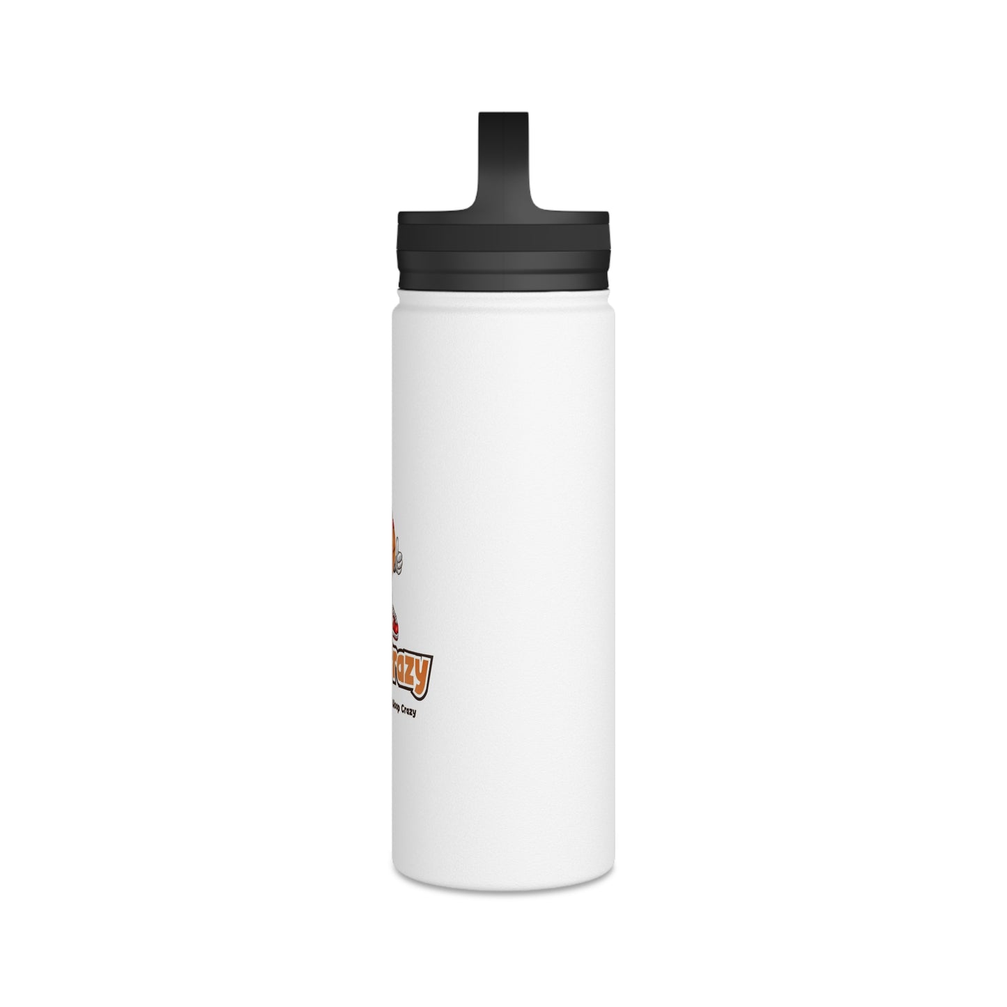 Stainless Steel Water Bottle, Handle Lid
